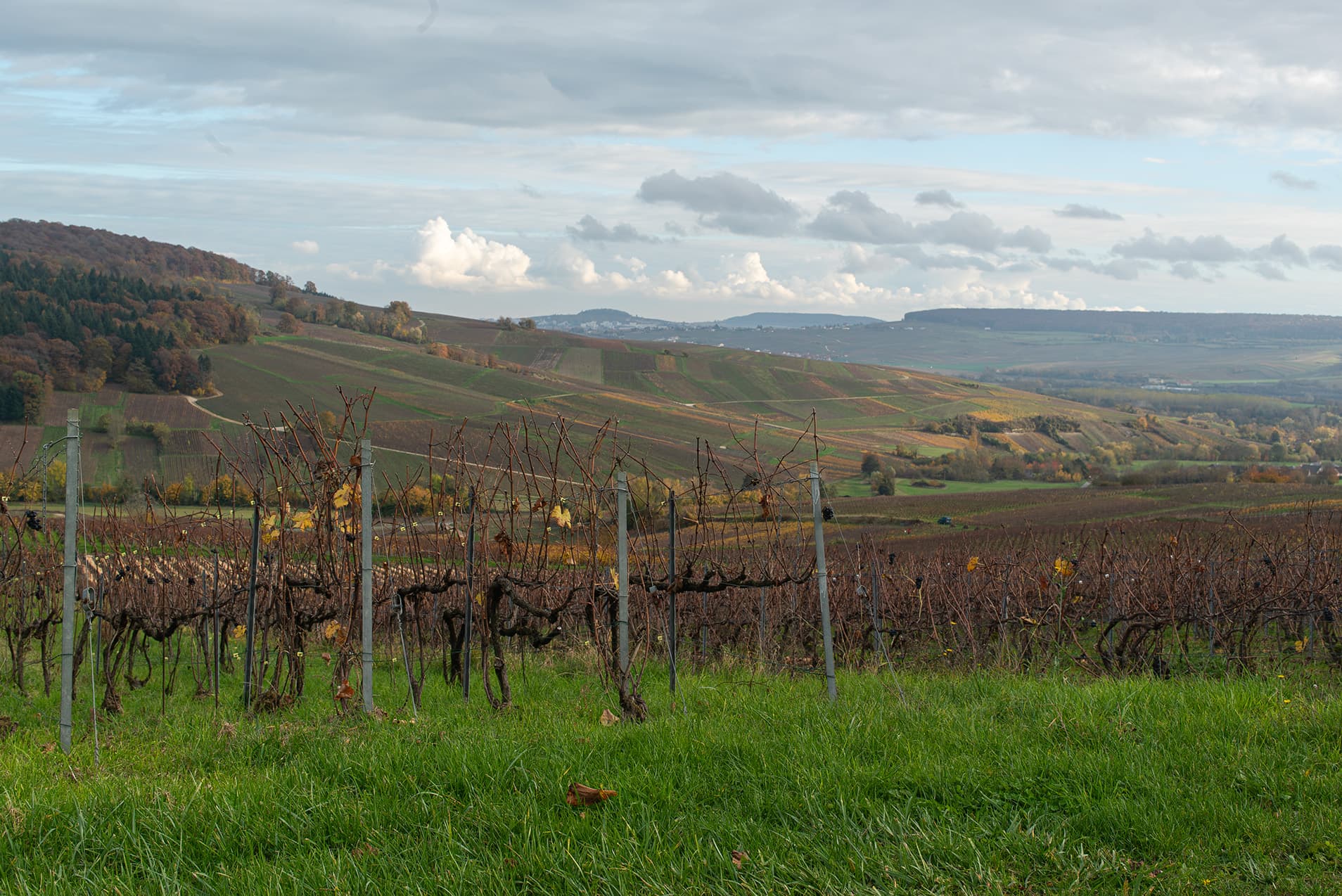 Bubbels van Frits voor ieder moment